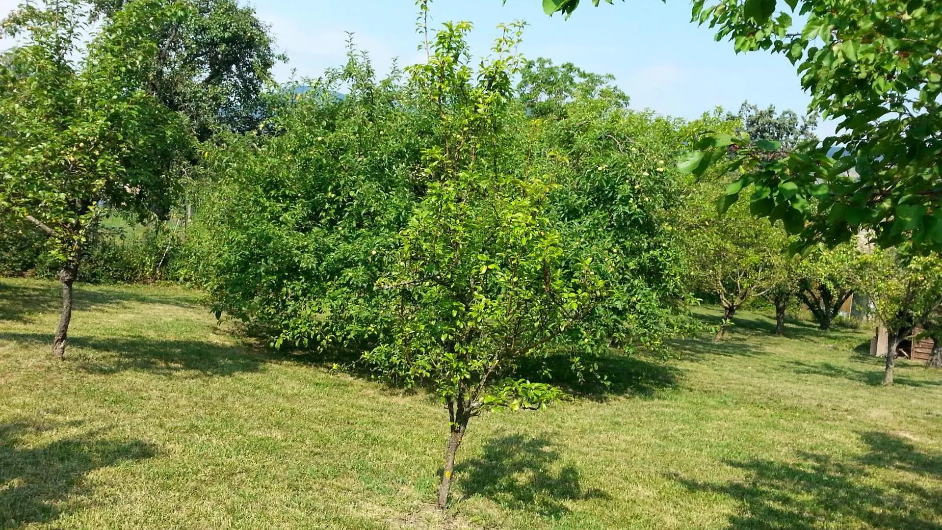Refurbished 3 Bedroom Farmhouse In Emilia Piacenza Vakantiehuis